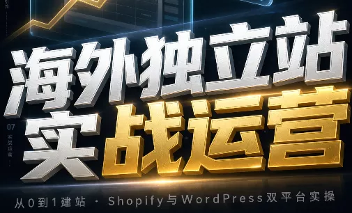 海外独立站实战运营-Ai资源库