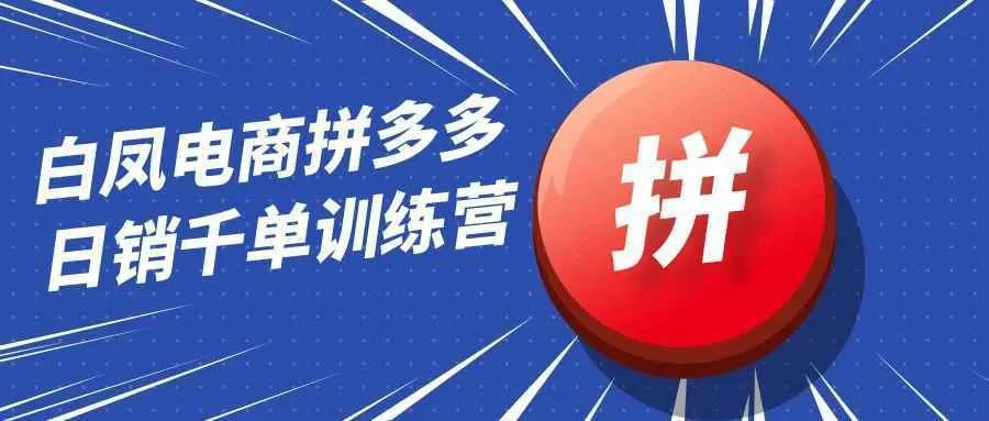 白凤电商拼多多日销千单训练营-Ai资源库