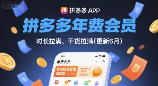 拼多多年费会员,实经验分享操,时长拉满,干货拉满(更新260914)-Ai资源库