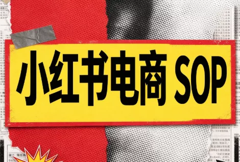 书豪必胜小红书电商sop(更新9月)-Ai资源库