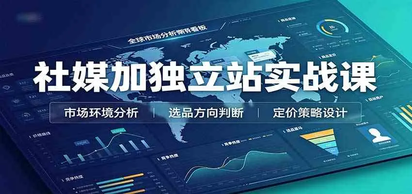 社媒加独立站实战课：市场环境选品定价，社媒运营建站，私域网红营销教学-Ai资源库