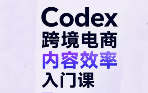 Codex跨境电商内容效率入门课-Ai资源库