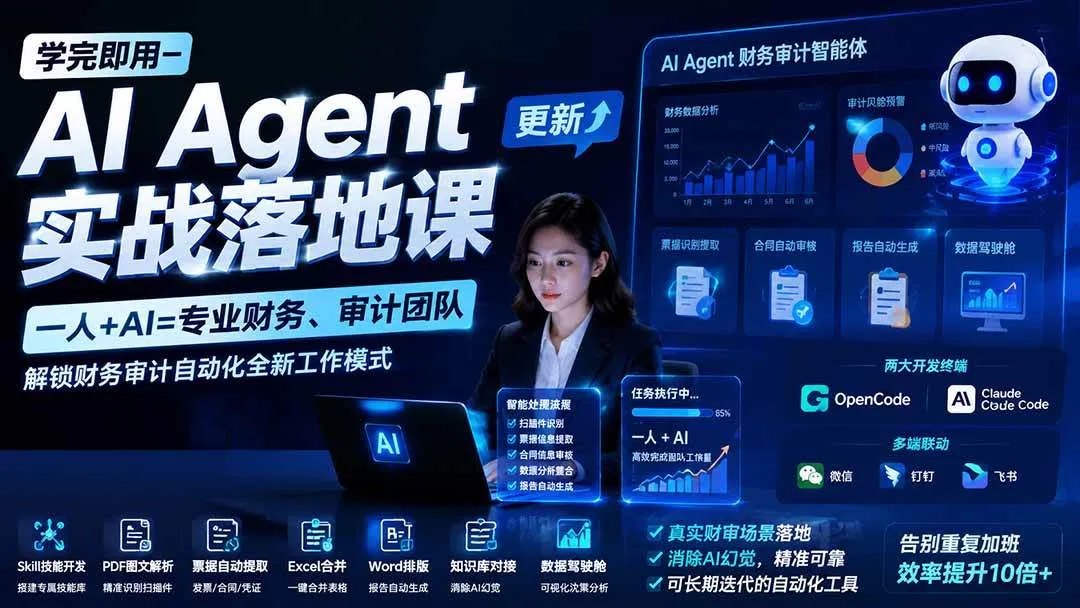 （20625期）【无水印】学完 即用-AI Agent实操落地课-更新0924：一人 + AI=专业财务、审计团队，解锁财务审计自动化全新工作模式-Ai资源库