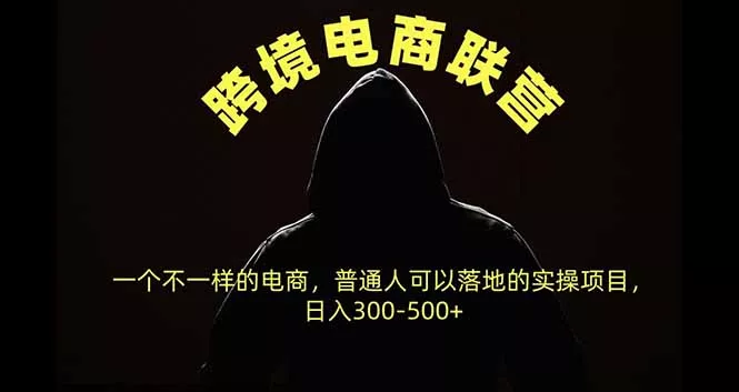 跨境电商联营，一个不一样的电商，普通人可操作日入300-500+-Ai资源库